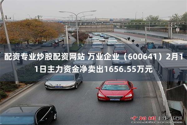 配资专业炒股配资网站 万业企业（600641）2月11日主力资金净卖出1656.55万元