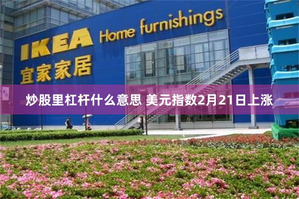 炒股里杠杆什么意思 美元指数2月21日上涨