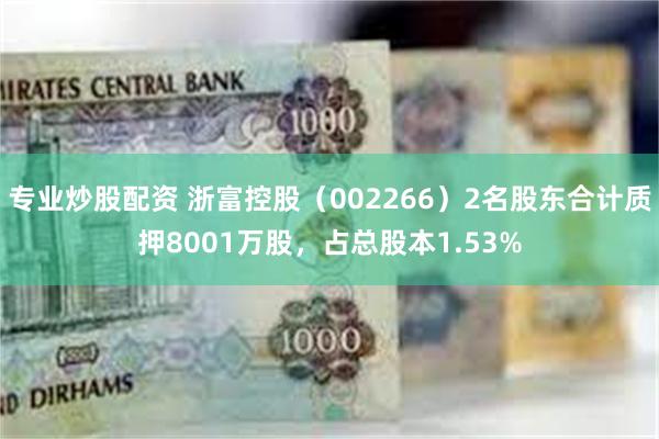 专业炒股配资 浙富控股（002266）2名股东合计质押8001万股，占总股本1.53%