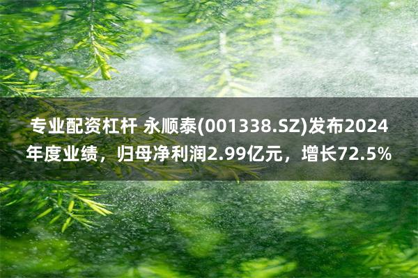 专业配资杠杆 永顺泰(001338.SZ)发布2024年度业绩，归母净利润2.99亿元，增长72.5%