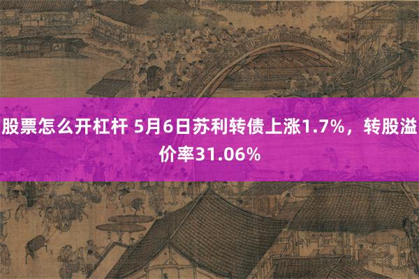 股票怎么开杠杆 5月6日苏利转债上涨1.7%，转股溢价率31.06%