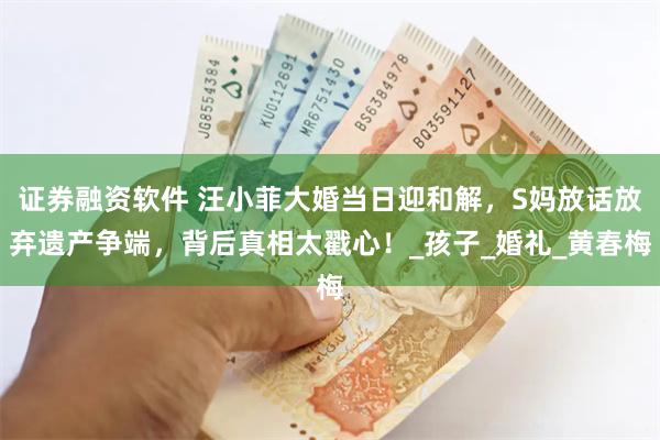 证券融资软件 汪小菲大婚当日迎和解，S妈放话放弃遗产争端，背后真相太戳心！_孩子_婚礼_黄春梅