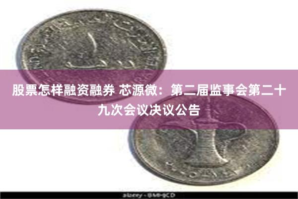 股票怎样融资融券 芯源微：第二届监事会第二十九次会议决议公告