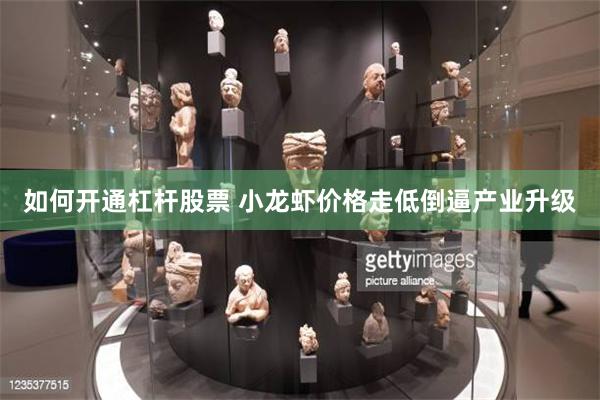 如何开通杠杆股票 小龙虾价格走低倒逼产业升级