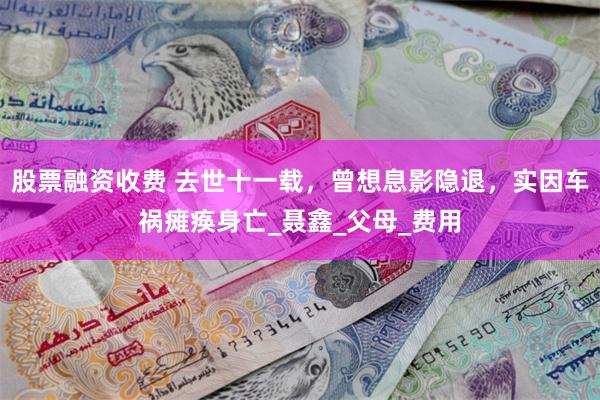 股票融资收费 去世十一载，曾想息影隐退，实因车祸瘫痪身亡_聂鑫_父母_费用