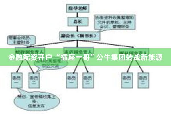 金融配资开户 “插座一哥”公牛集团转战新能源