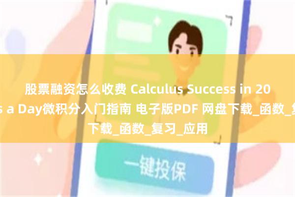 股票融资怎么收费 Calculus Success in 20 Minutes a Day微积分入门指南 电子版PDF 网盘下载_函数_复习_应用