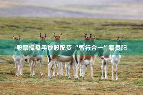 股票操盘手炒股配资 “智行合一”看贵阳
